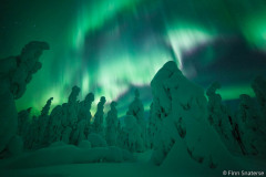 Northern Lights
