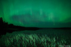 FinnFoto_492352