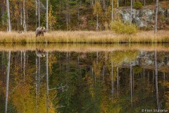 FinnFoto_519578