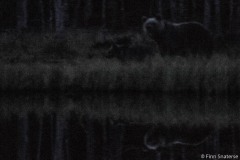 FinnFoto_742134